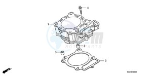 CRF150R9 Europe Direct - (ED / 2ED) drawing CYLINDER