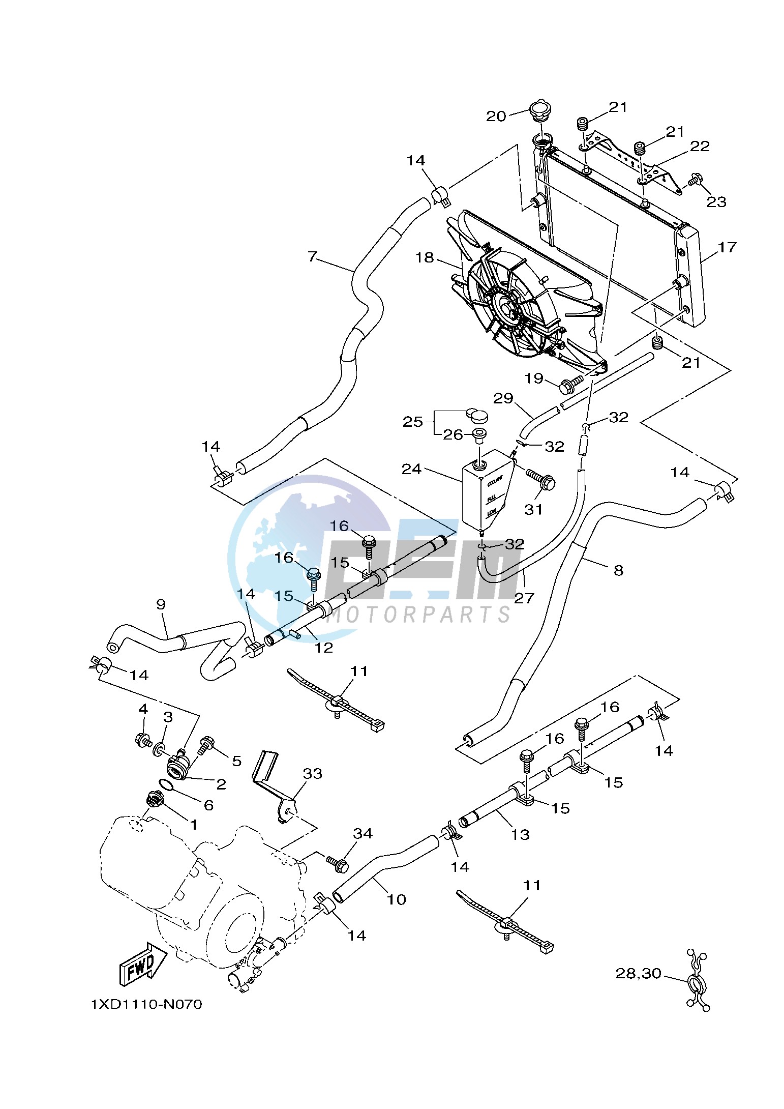 RADIATOR & HOSE