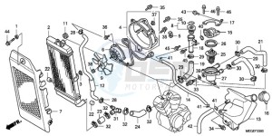 VT750C9 Europe Direct - (ED / MK) drawing RADIATOR