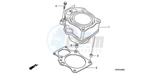 TRX420TMA Australia - (U / 2WD) drawing CYLINDER