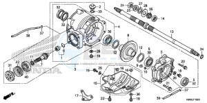 TRX250TEE FOURTRAX RECON ES Europe Direct - (ED) drawing REAR FINAL GEAR