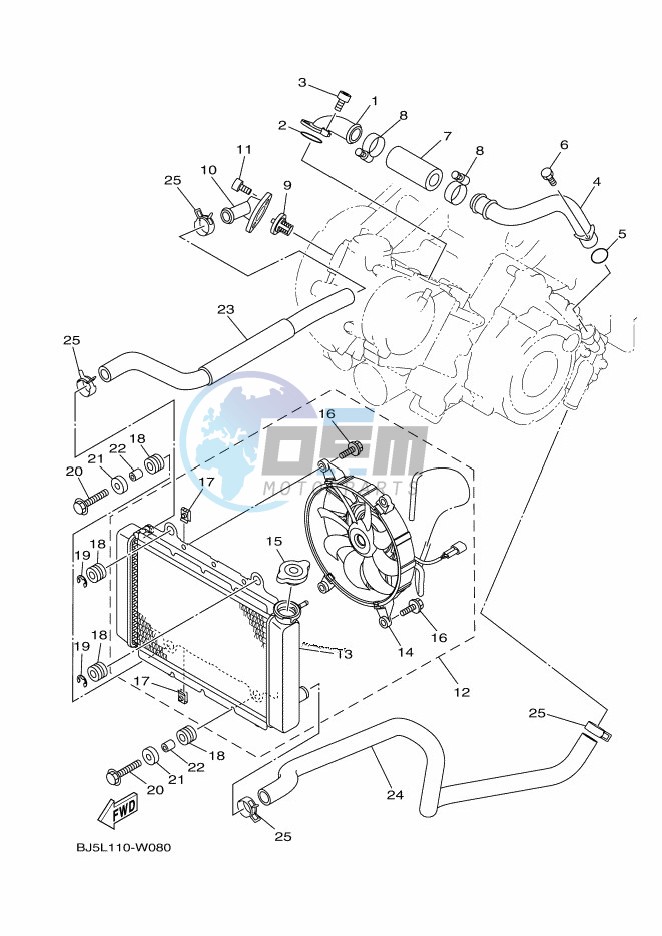 RADIATOR & HOSE