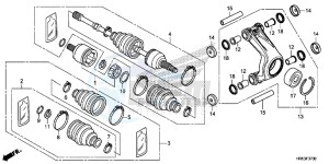 TRX500FM6F TRX500FM Australia - (U) drawing REAR KNUCKLE/REAR DRIVE SHAFT