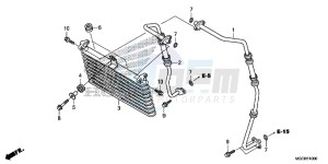 CB1100 UK - (E) drawing OIL COOLER