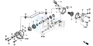 SH150R 125 drawing WATER PUMP