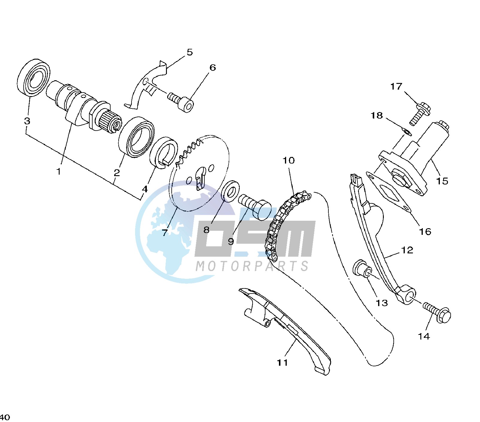 CAMSHAFT AND TIMING CHAIN