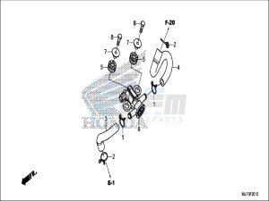 CRF1000DH 2ED - (2ED) drawing AIR INJECTION SOLENOID VALVE