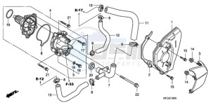 CB600FA3A France - (F / ABS CMF ST 25K) drawing WATER PUMP