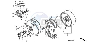 TRX250TMC drawing REAR BRAKE DRUM