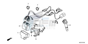 CRF150RBE CRF150RB Europe Direct - (ED) drawing WIRE HARNESS