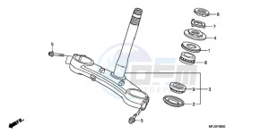 CBR600RR9 UK - (E / SPC) drawing STEERING STEM