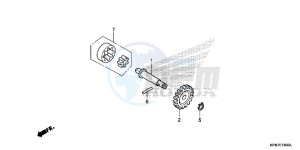 CRF250RE CRF250R Europe Direct - (ED) drawing OIL PUMP