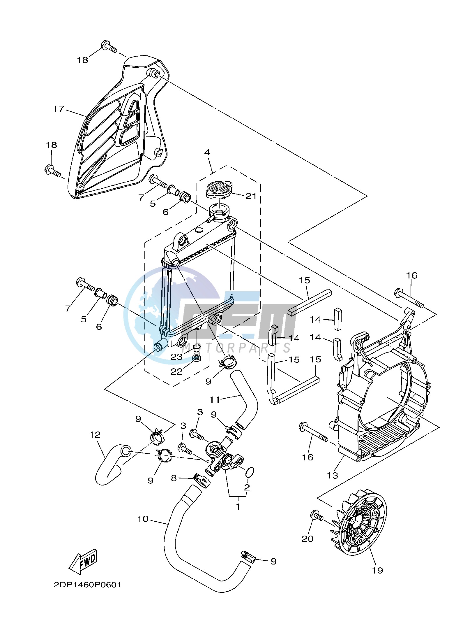 RADIATOR & HOSE