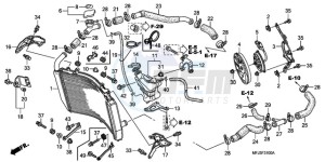 CBR600RRA Australia - (U / 2U) drawing RADIATOR