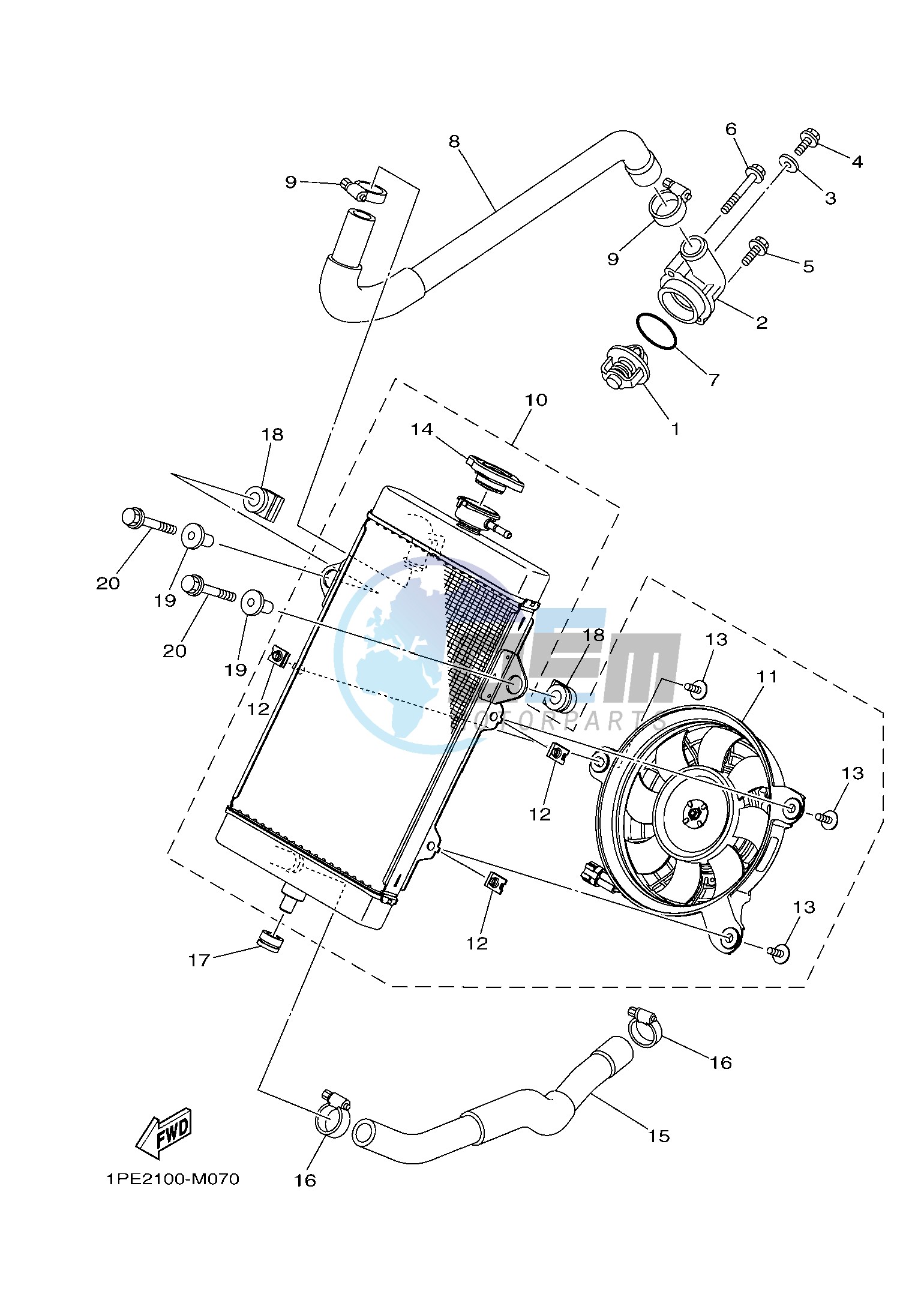 RADIATOR & HOSE