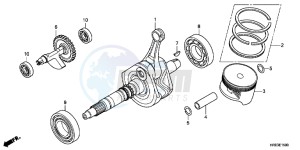 VFR800FH 2ED - (2ED) drawing CAUTION LABEL