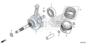 TRX250TMH Europe Direct - (ED) drawing CRANKSHAFT/PISTON