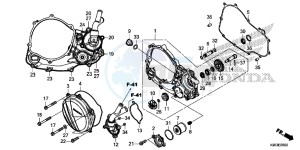 CRF250R Europe Direct - (ED) drawing RIGHT CRANKCASE COVER/WATER PUMP