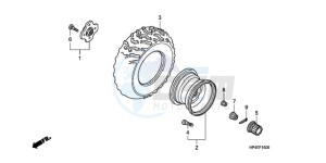 TRX420TMA Australia - (U / 2WD) drawing REAR WHEEL