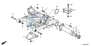 TRX500FM2H Europe Direct - (ED) drawing SWINGARM