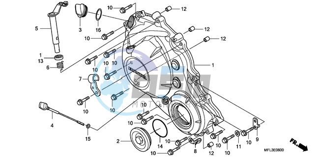 RIGHT CRANKCASE COVER