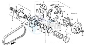 CN250 drawing DRIVEN FACE