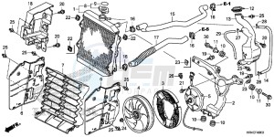 TRX500FM1G TRX500 Europe Direct - (ED) drawing RADIATOR