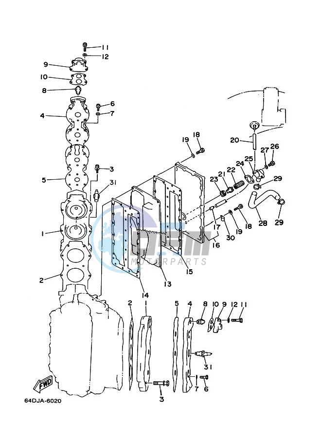 CYLINDER--CRANKCASE-2