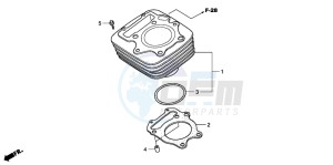 TRX300EX SPORTRAX drawing CYLINDER