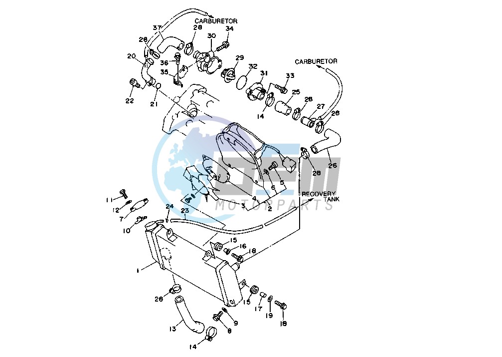 RADIATOR-HOSE