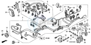 CBF600N9 Europe Direct - (ED) drawing WIRE HARNESS