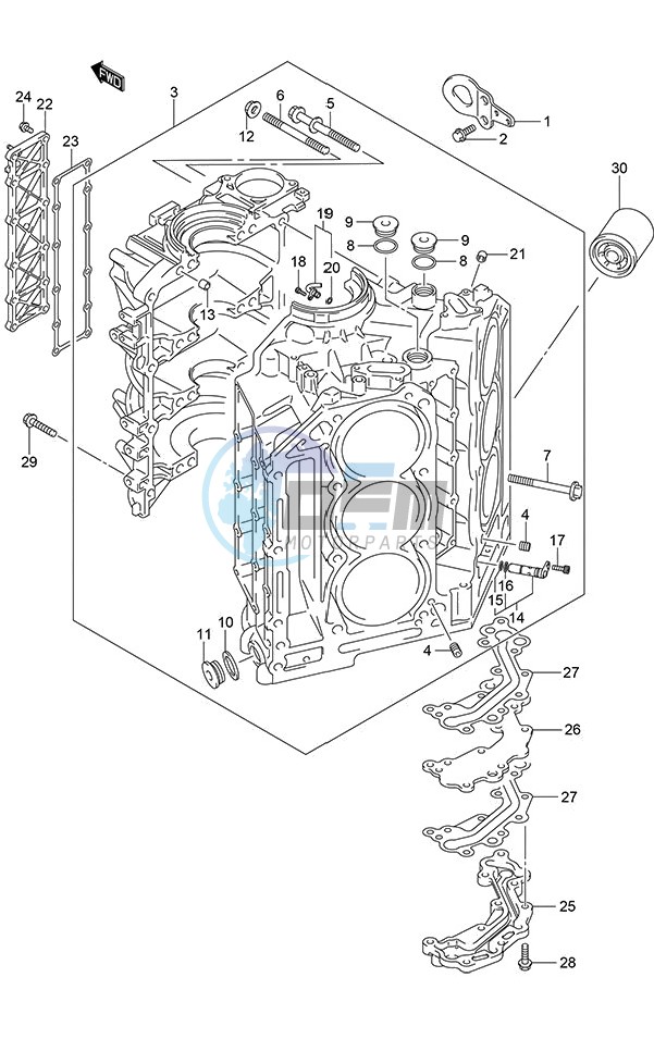 Cylinder Block (DF 250S)