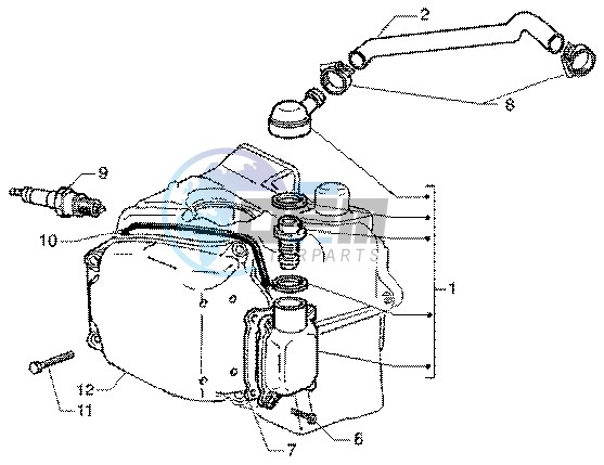 Oil drain valve