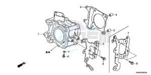 WW125EX2C drawing CYLINDER