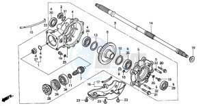 TRX350TE FOURTRAX 350 ES drawing FINAL DRIVEN GEAR