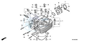 TRX400XD TRX400XD Australia - (U) drawing CYLINDER HEAD