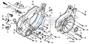 TRX500FE9 Australia - (U) drawing REAR CRANKCASE COVER