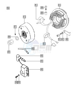 FANTIC 50 drawing Dynamo-ignition system