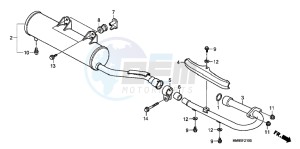 TRX250TEC drawing MUFFLER