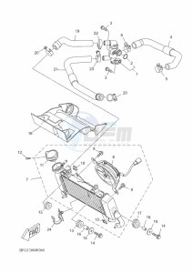 XSR125 MTM125 (BFG1) drawing RADIATOR & HOSE