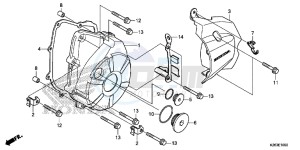 MSX125D MSX125 UK - (E) drawing LEFT CRANKCASE COVER