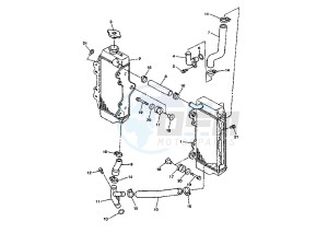 WR F 450 drawing RADIATOR-HOSE