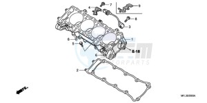 CBR1000RRA Europe Direct - (ED) drawing CYLINDER