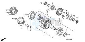 CBR125RWA UK - (E / WH) drawing CRANK SHAFT/PISTON