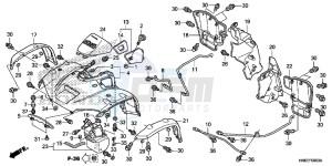 TRX680FAG Wave 110 - AFS110 UK - (E) drawing FRONT FENDER