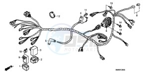 TRX250TMC drawing WIRE HARNESS (TRX250TM)