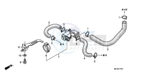 CBR600RA9 France - (F / ABS CMF MME) drawing AIR INJECTION CONTROL VALVE