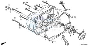 CRF50F9 Australia - (U) drawing RIGHT CRANKCASE COVER