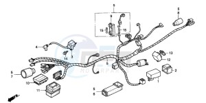 NSR50F drawing WIRE HARNESS/ IGNITION COIL