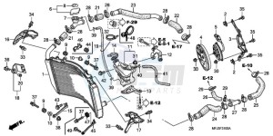 CBR600RR9 Europe Direct - (ED / MME SPC) drawing RADIATOR